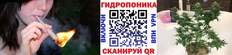 Наркота Злынка Псилоцибиновые грибы  Alpha-PVP  Марихуана  Меф  COCAIN 