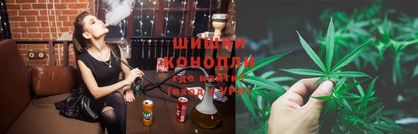 сатива Вяземский