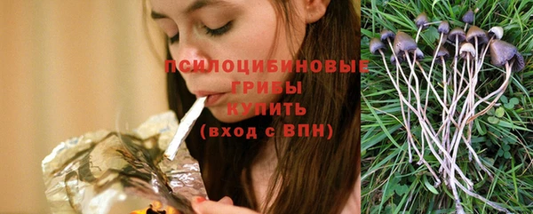 герыч Вязьма