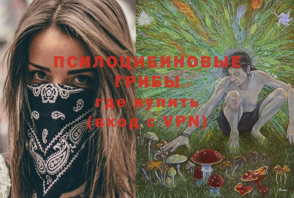 спиды Волосово