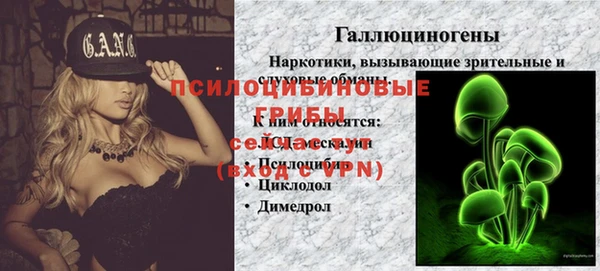 сатива Вяземский