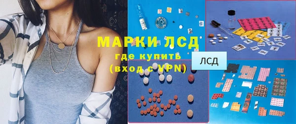сатива Вяземский