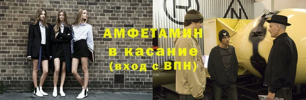 сатива Вяземский