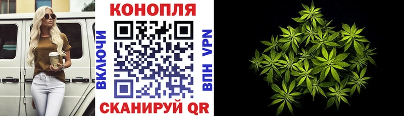 МАРИХУАНА Ganja  купить   Злынка 